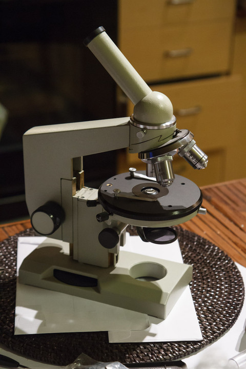 LOMO BIOLAM microscope, now in focus!