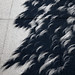 Solar Eclipse, Seattle-style